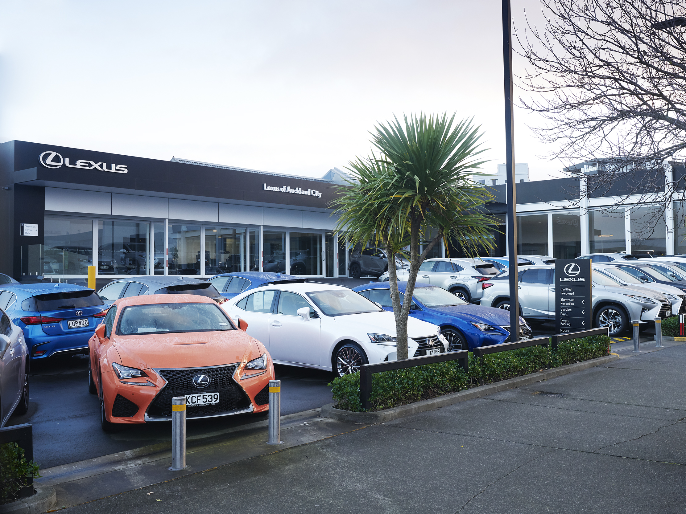 Lexus of Auckland City